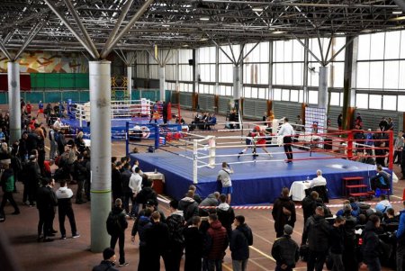 Одесские боксеры на Чемпионате страны завоевали полный комплект медалей (фото)