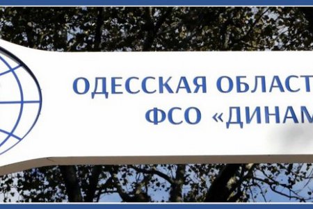 Старый стадион «Динамо» запустил обороты новой жизни (фоторепортаж)