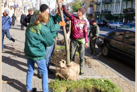 На Тираспольской улице зазеленеют индейские деревья счастья (фоторепортаж)