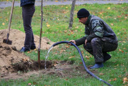 Одесситы приняли участие в благоустройстве родного города (фоторепортаж) 
