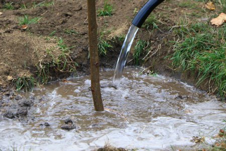 Одесситы приняли участие в благоустройстве родного города (фоторепортаж) 