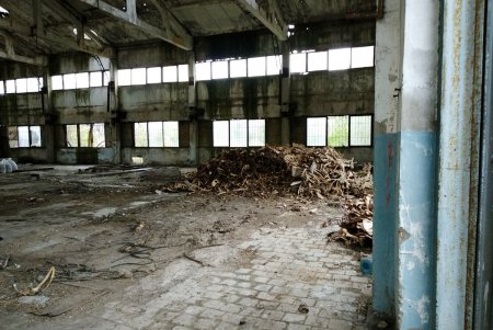 Территория завода «Центролит» превратилась пока в загадочный скотомогильник  (фото)