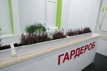 Детская поликлиника Малиновского района превратилась в волшебный лес (фото)