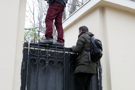 Активисты выступили против вырубки деревьев в «Летнем театре» (фоторепортаж)
