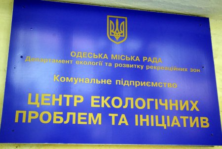 Активисты выступили против вырубки деревьев в «Летнем театре» (фоторепортаж)
