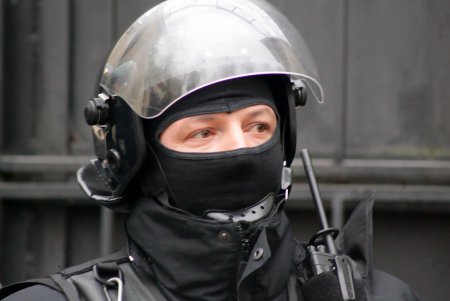Активисты выступили против вырубки деревьев в «Летнем театре» (фоторепортаж)