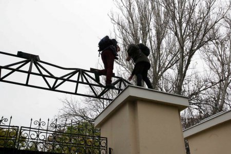 Активисты выступили против вырубки деревьев в «Летнем театре» (фоторепортаж)