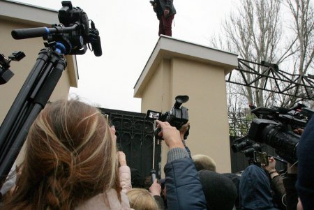 Активисты выступили против вырубки деревьев в «Летнем театре» (фоторепортаж)