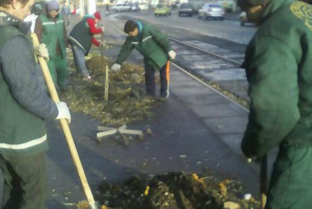 Французский бульвар украсили золотистые деревья (фоторепортаж)
