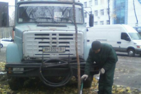 Французский бульвар украсили золотистые деревья (фоторепортаж)