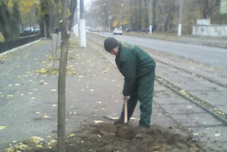 Французский бульвар украсили золотистые деревья (фоторепортаж)