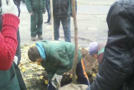 Французский бульвар украсили золотистые деревья (фоторепортаж)