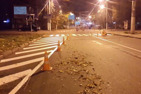 Коммунальщики добавили дорожных знаков на Толбухина и разметили Канатную (фото)