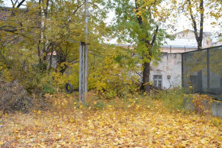 Одесский Горсад: застройки не будет (фото)