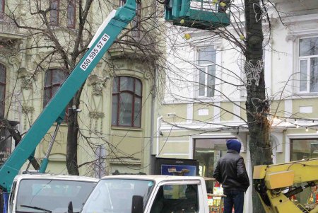 Зима на пороге: из Одессы «улетели» и рукотворные бабочки (фоторепортаж)