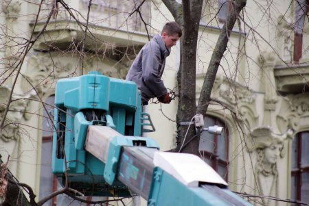 Зима на пороге: из Одессы «улетели» и рукотворные бабочки (фоторепортаж)