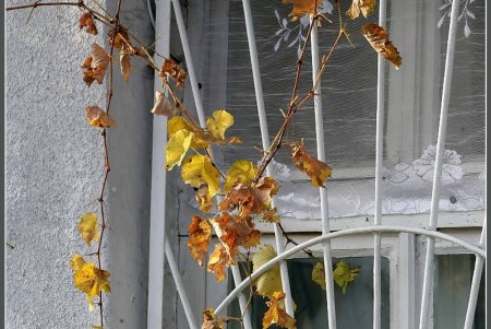 Историческое место криминальной славы, архитектурных экспериментов и живых руин (фоторепортаж)