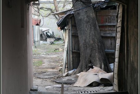 Историческое место криминальной славы, архитектурных экспериментов и живых руин (фоторепортаж)