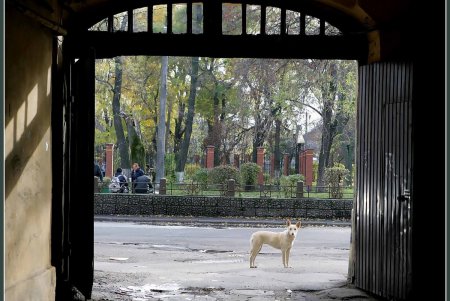 Историческое место криминальной славы, архитектурных экспериментов и живых руин (фоторепортаж)
