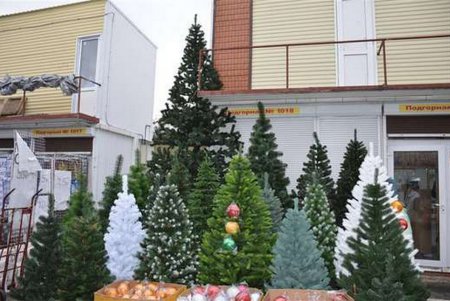 На рынке «7 километр» уже продают елки к Новому году (фото)