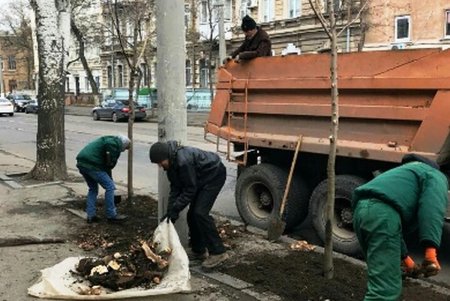 Весной в исторической части Одессы расцветут новые зеленые «островки» (фото)