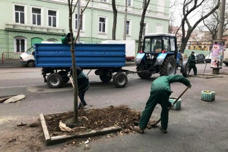 Весной в исторической части Одессы расцветут новые зеленые «островки» (фото)