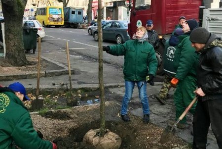 Весной в исторической части Одессы расцветут новые зеленые «островки» (фото)