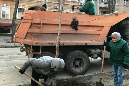 Весной в исторической части Одессы расцветут новые зеленые «островки» (фото)
