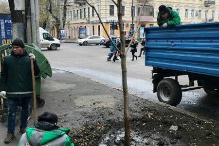 Весной в исторической части Одессы расцветут новые зеленые «островки» (фото)