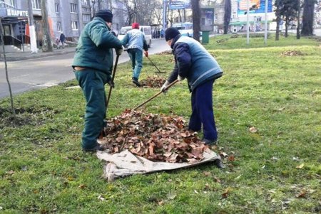 В Стамбульском парке весной расцветут туи, а на улице Болгарской — ясени (фото)