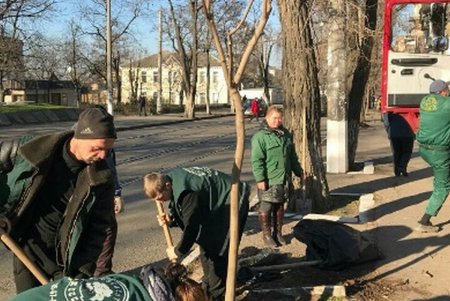 В Стамбульском парке весной расцветут туи, а на улице Болгарской — ясени (фото)