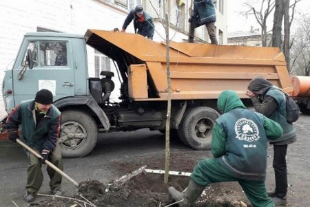 В Стамбульском парке весной расцветут туи, а на улице Болгарской — ясени (фото)