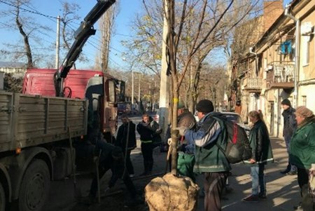В Стамбульском парке весной расцветут туи, а на улице Болгарской — ясени (фото)