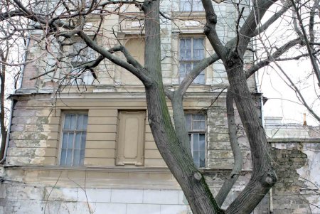 «Освобожденный» Летний театр готовится к новогодней жизни (фоторепортаж)