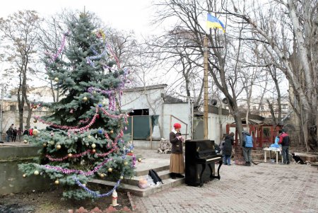«Освобожденный» Летний театр готовится к новогодней жизни (фоторепортаж)