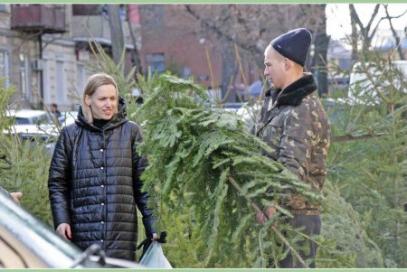 Хвойный лес в центре Одессы (фоторепортаж) 