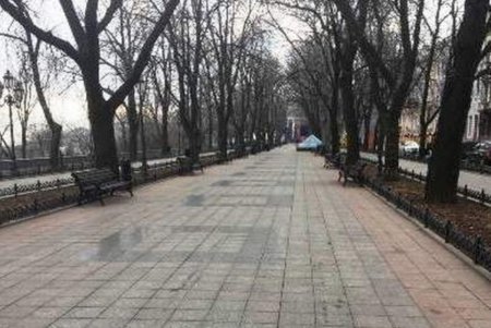 После новогодней ночи из центра Одессы вывезли десятки тонн мусора (фото) 