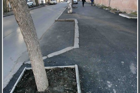 Новый год принес хорошие новости для жителей улицы Заславского (фоторепортаж)