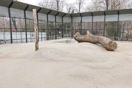 Косолапым одесситам кардинально решили «квартирный вопрос» (фото)