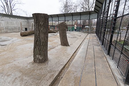 Косолапым одесситам кардинально решили «квартирный вопрос» (фото)