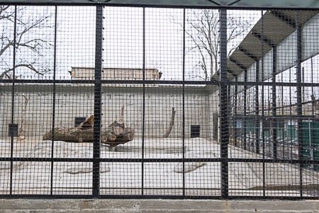 Косолапым одесситам кардинально решили «квартирный вопрос» (фото)