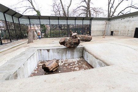 Косолапым одесситам кардинально решили «квартирный вопрос» (фото)