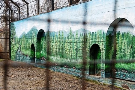 Косолапым одесситам кардинально решили «квартирный вопрос» (фото)