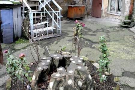 Самый лучший одесский дворик – тот, что живет любовью жителей (фоторепортаж)