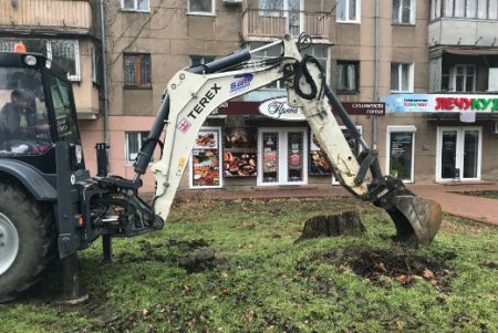 Одесские озеленители к весне делают убранство города ярким и многообразным (фото)