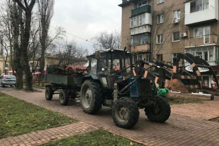 Одесские озеленители к весне делают убранство города ярким и многообразным (фото)