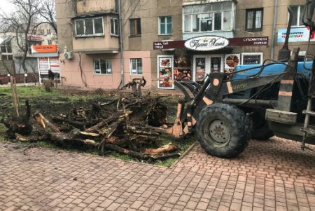 Одесские озеленители к весне делают убранство города ярким и многообразным (фото)
