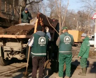 Одесские озеленители к весне делают убранство города ярким и многообразным (фото)