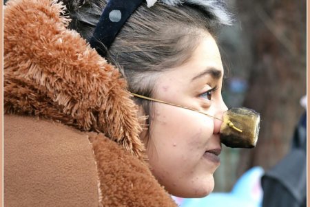 В Одесском зоопарке звучали рождественские колядки (фоторепортаж) 