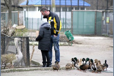 В Одесском зоопарке звучали рождественские колядки (фоторепортаж) 
